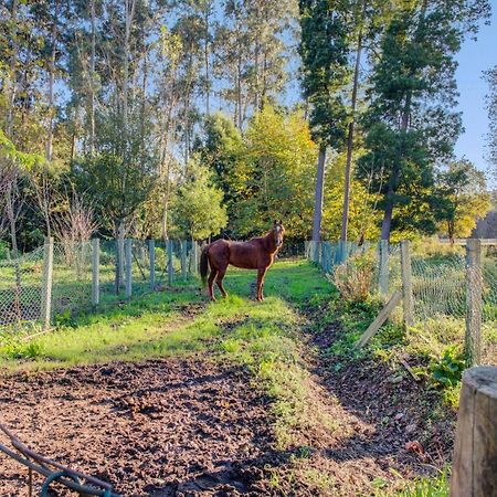 Casa Do Moinho Rural Campo E Praia , 9 Pessoas, Animais Benvindos Espinho  Extérieur photo