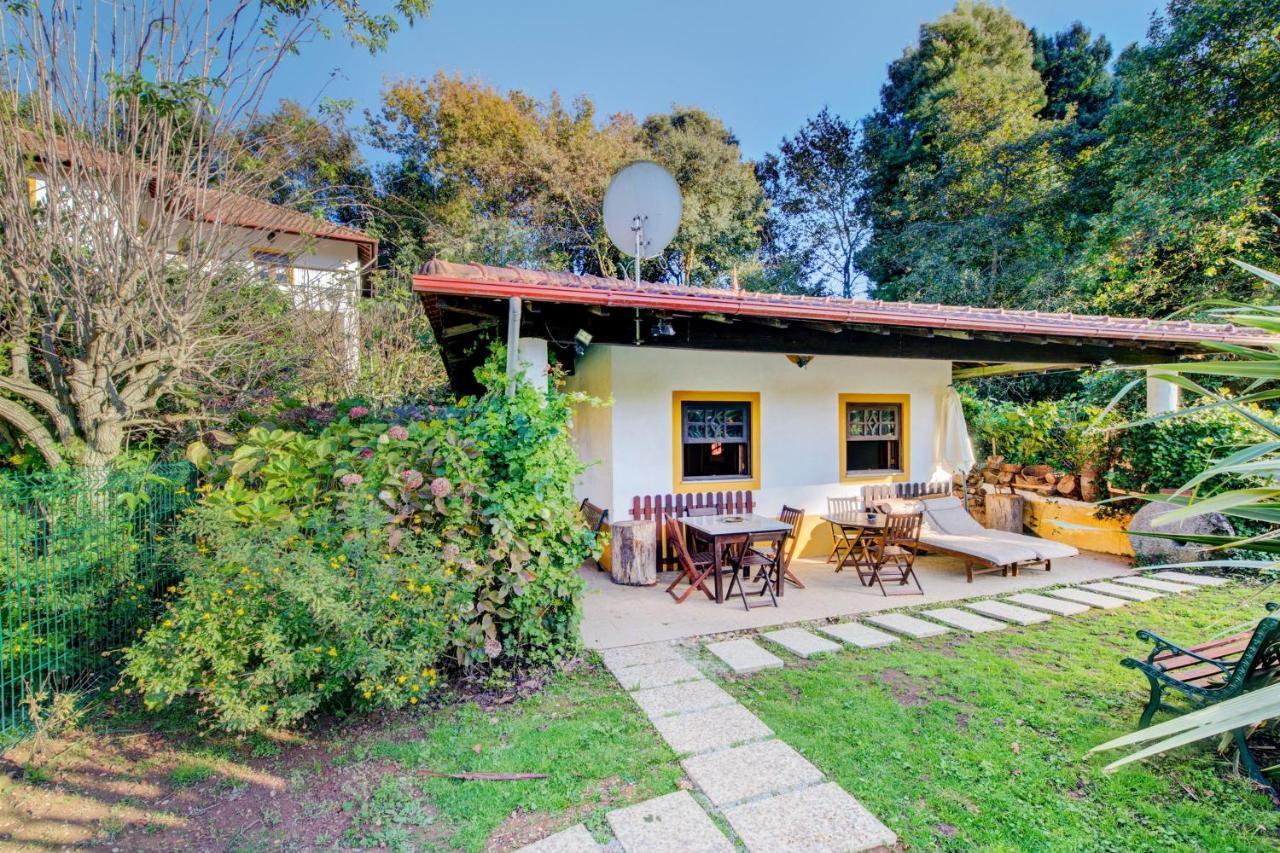 Casa Do Moinho Rural Campo E Praia , 9 Pessoas, Animais Benvindos Espinho  Extérieur photo