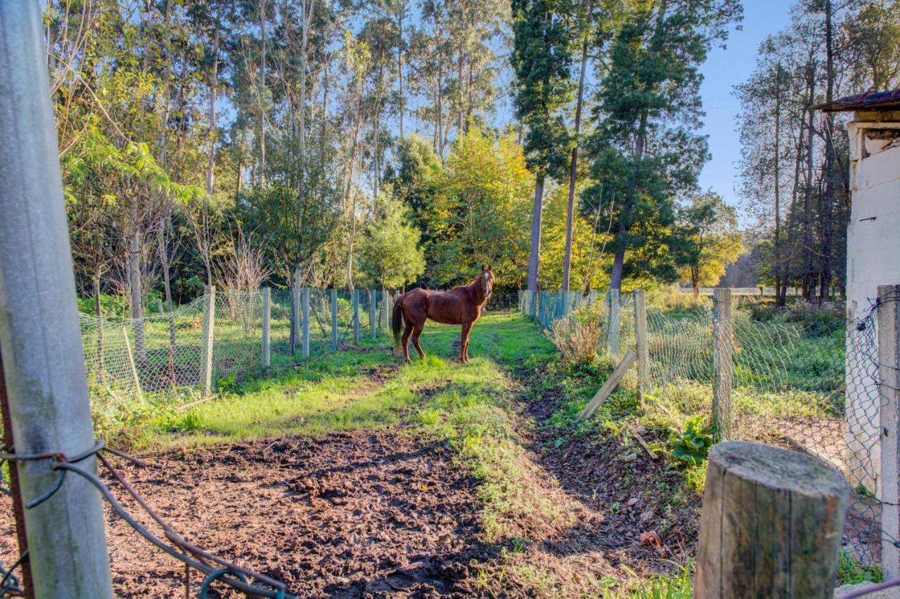 Casa Do Moinho Rural Campo E Praia , 9 Pessoas, Animais Benvindos Espinho  Extérieur photo
