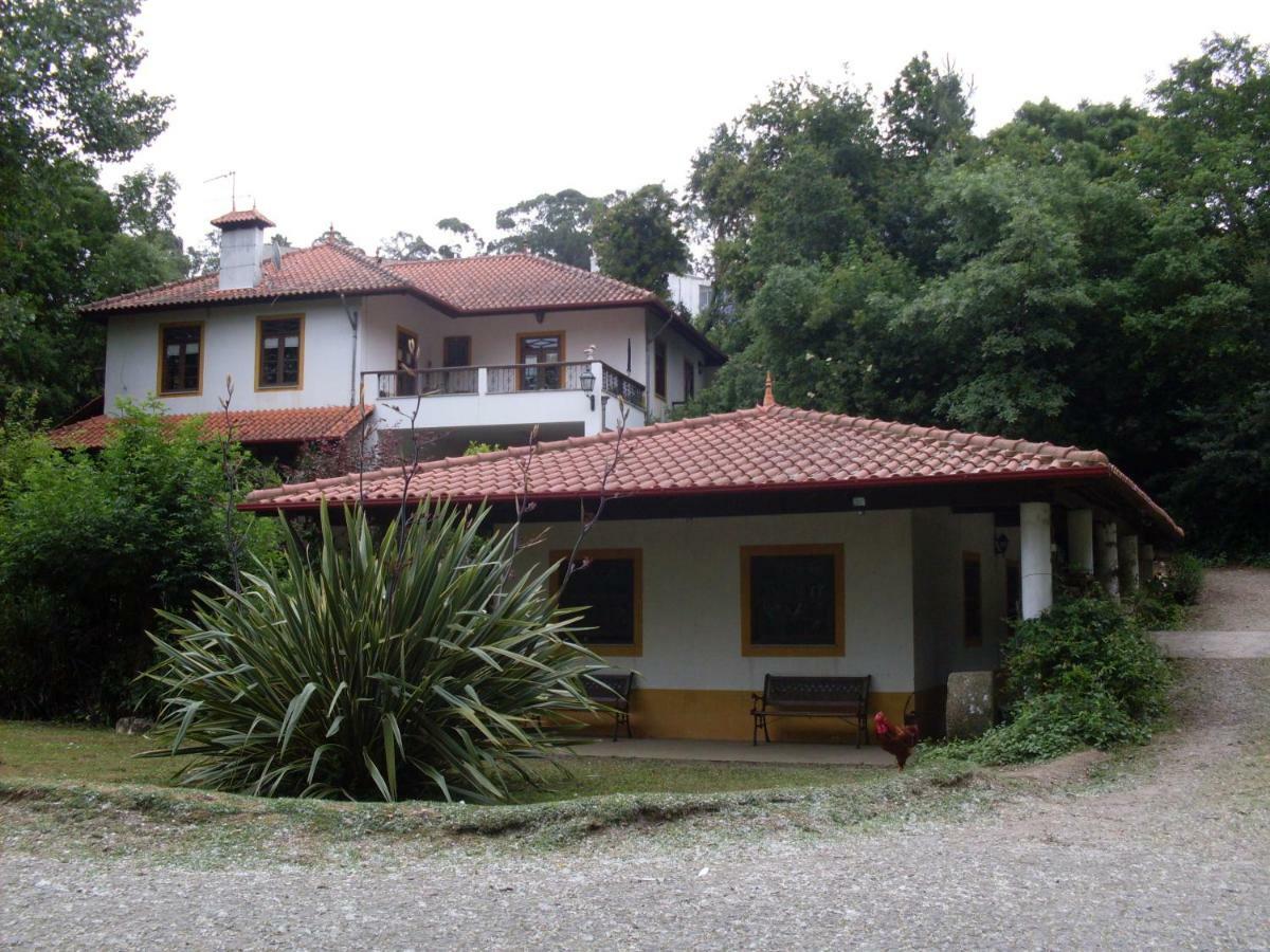Casa Do Moinho Rural Campo E Praia , 9 Pessoas, Animais Benvindos Espinho  Extérieur photo