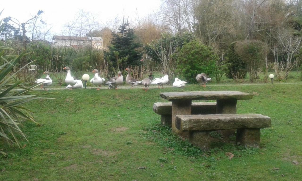 Casa Do Moinho Rural Campo E Praia , 9 Pessoas, Animais Benvindos Espinho  Extérieur photo
